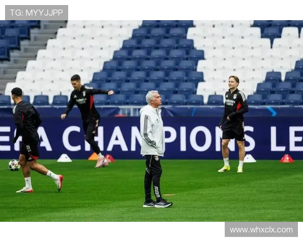 本菲卡联赛走势