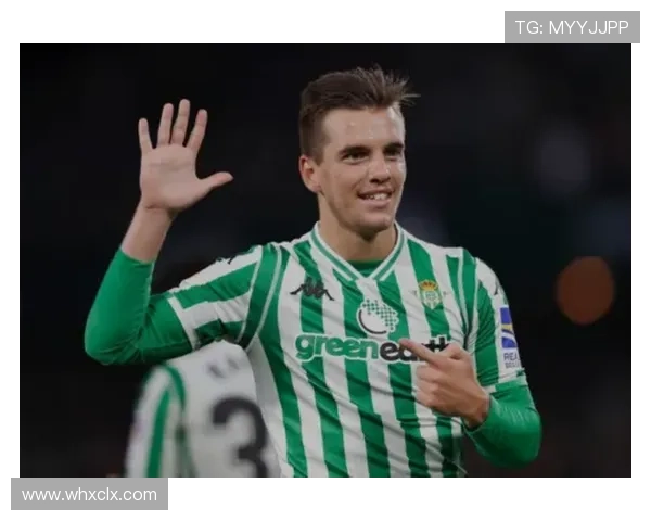 谢菲尔德联转会窗引援策略聚焦后防补强与中场优化