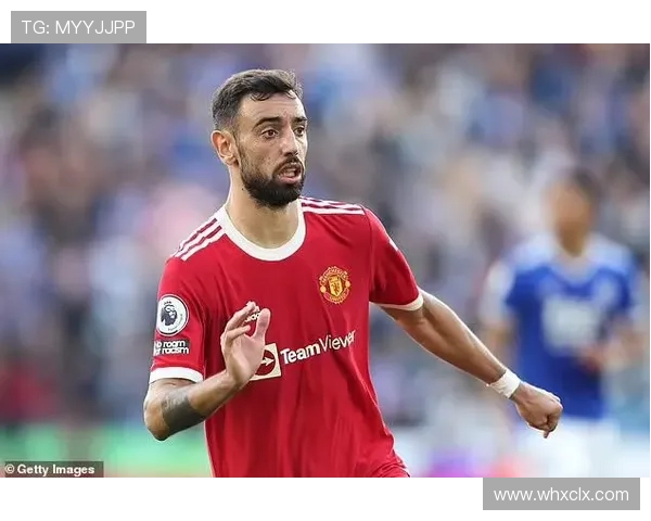 B费与厄德高：体系核心角色的差异化解析