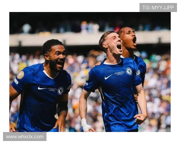 切尔西大规模引援效果争议显现，对球队近期表现稳定性产生影响