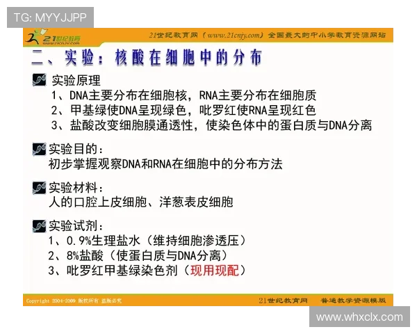 新手教学：带你快速搞懂什么是八秒违例及正确应对方法